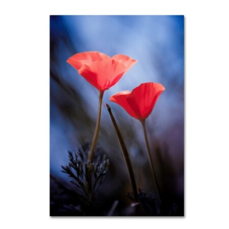 Trademark Fine Art Fabien Bravin 'Desire' Canvas Art, 16x24 1X04041-C1624GG